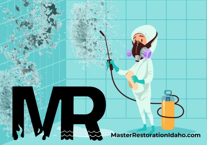 Mold Remediation Company Boise Cartoon mold remediator removing mold on bathroom wall