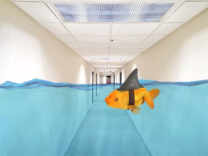 Office hallway with water and a goldfish floating indicating water damage cleanup is needed in a boise idaho office