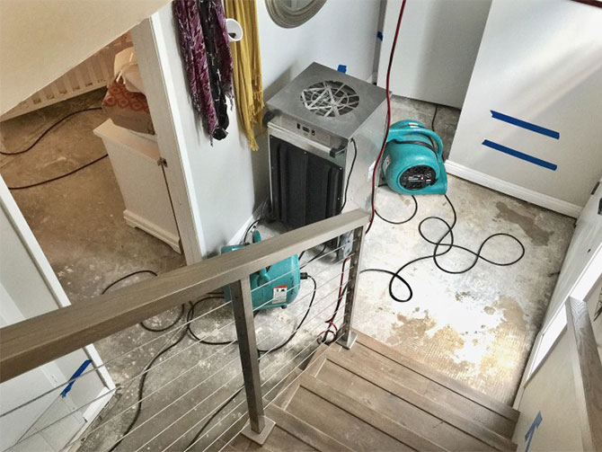 Water Damage Restoration Tallebudgera