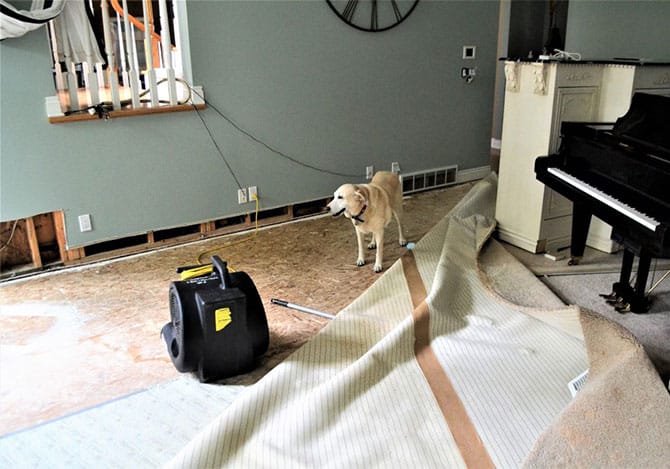 water damage in a boise idaho home with a blower drying sheetrock and carpet pulled back