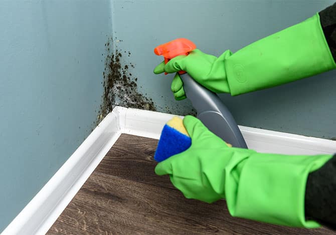 3-Factors-To-Look-At-When-Shoosing-A-Mold-Removal-Company-In-Boise