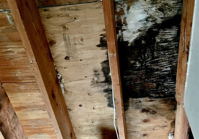 3-Steps-To-Get-Rid-Of-Mold-And-Prevent-Future-Mold-Growth3-Steps-To-Get-Rid-Of-Mold-And-Prevent-Future-Mold-Growth