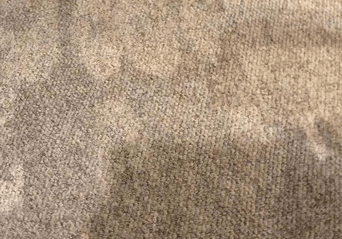 Wet carpet