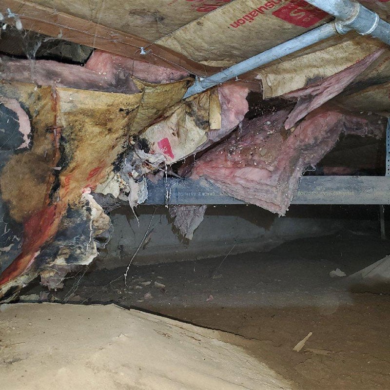 Water in a home's crawl space in meridian idaho