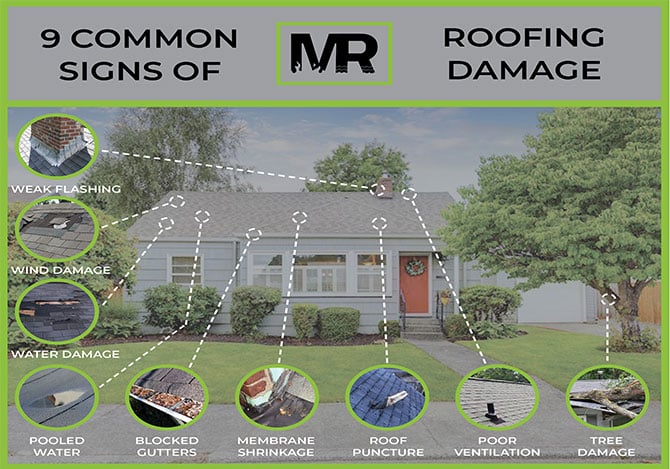 Roofing damage infographic showing all different types of home roof damage signs