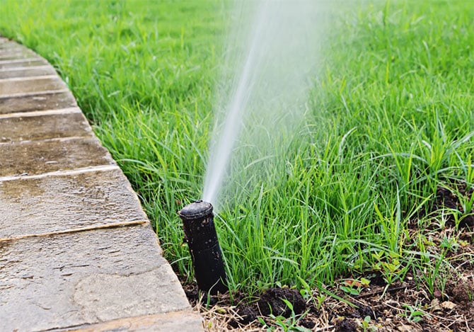 lawn sprinkler