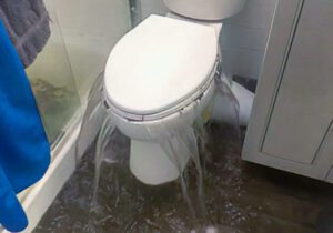 Overflowing toilet