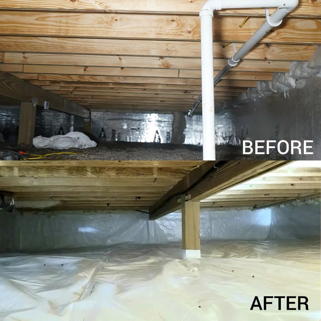Crawlspace restoration before and after shots water and mold repair