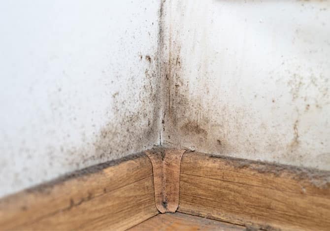 mold-growth-on-baseboards-in-boise-idaho-home