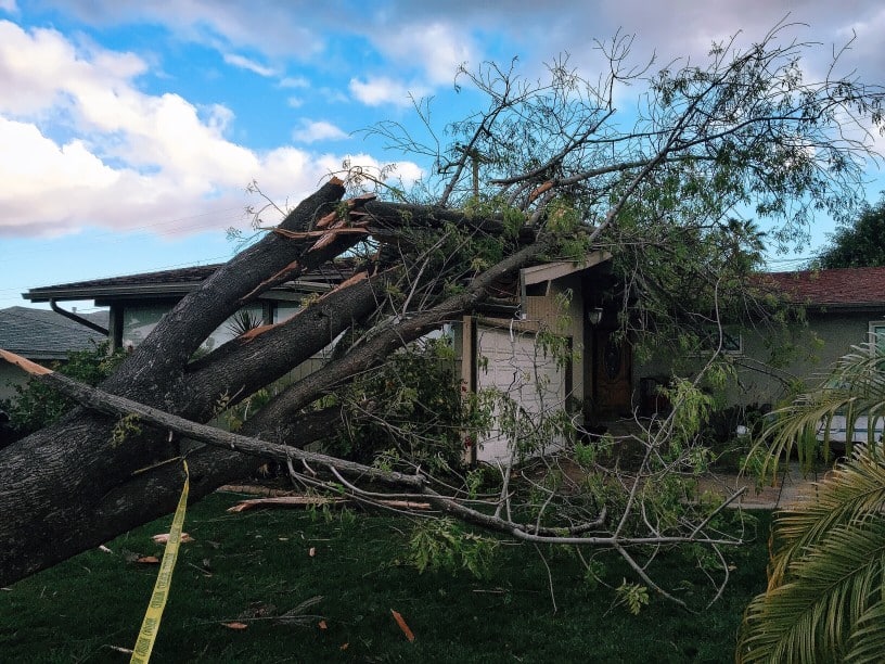 fallen-tree-damage-in-suburban-neighborhood-Boise-Idaho-the-winds-were-so-strong-that-they