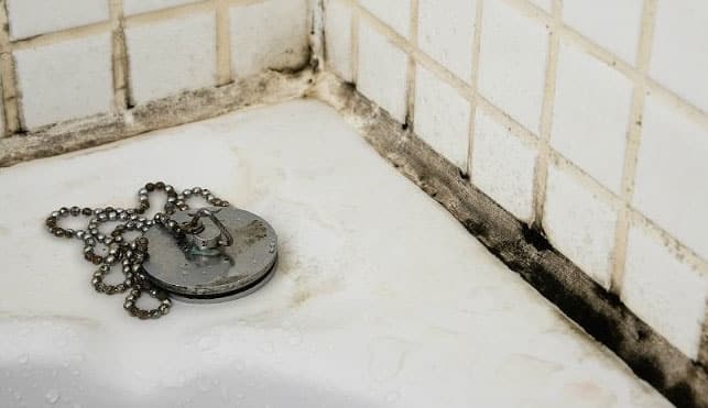 black-mold-bathroom